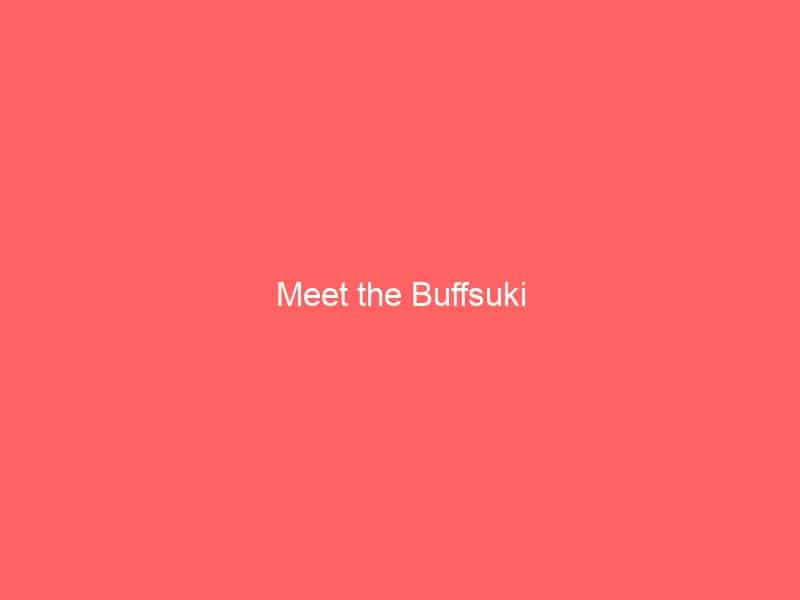 Meet the Buffsuki